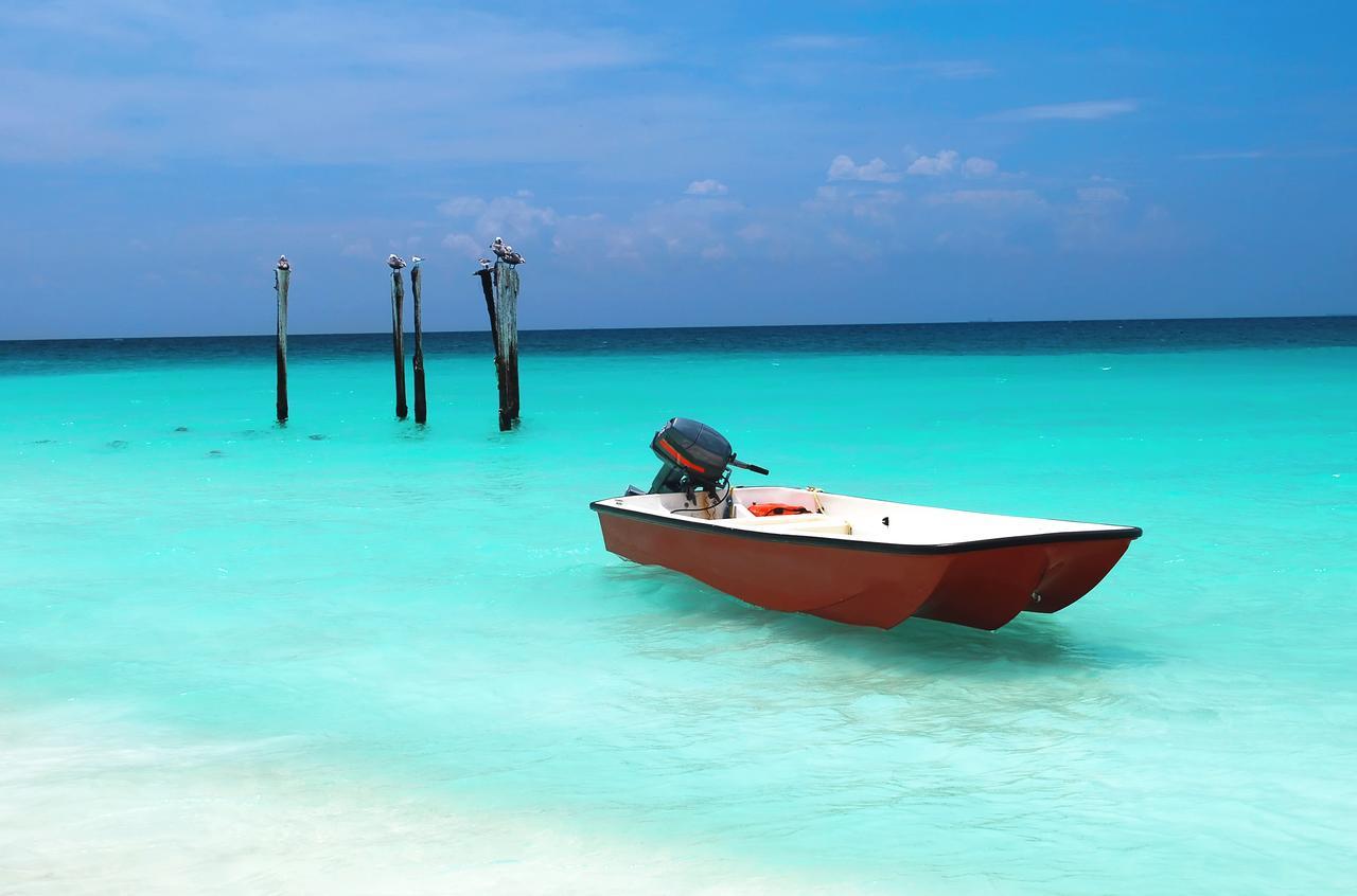 Marriott'S Aruba Surf Club Otel Palm Beach Dış mekan fotoğraf