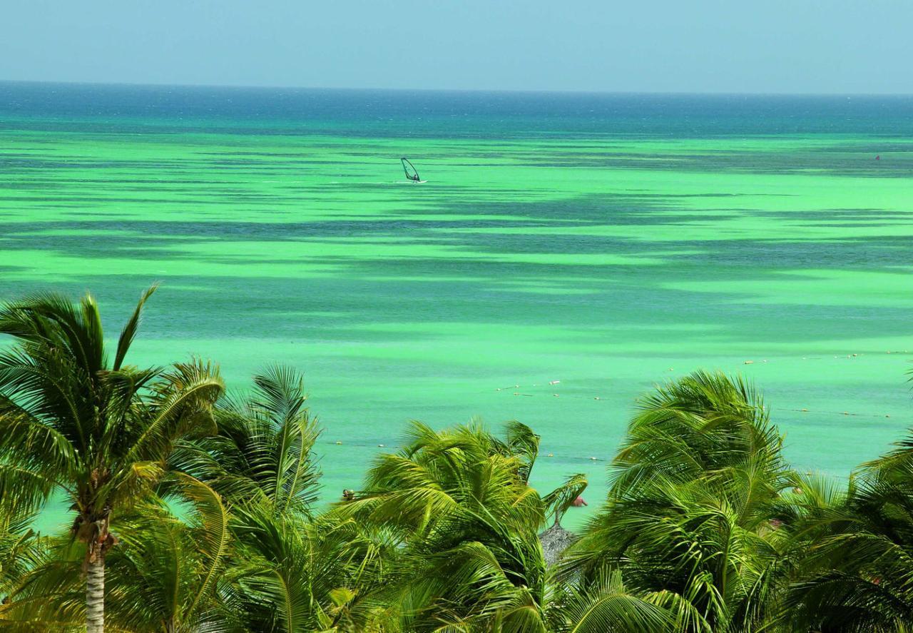 Marriott'S Aruba Surf Club Otel Palm Beach Konforlar fotoğraf